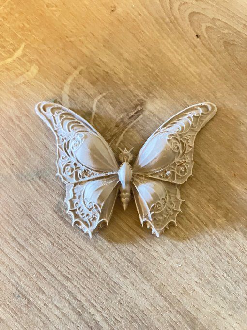 papillon 