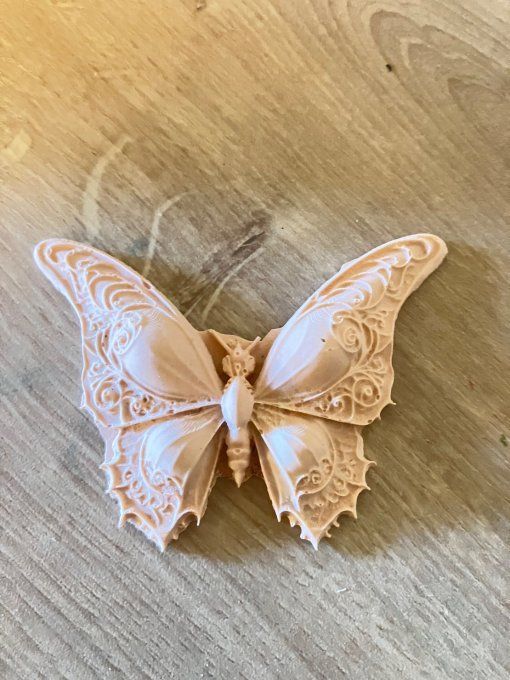 papillon 
