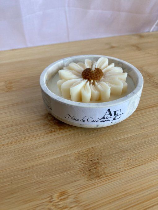 Noix de coco