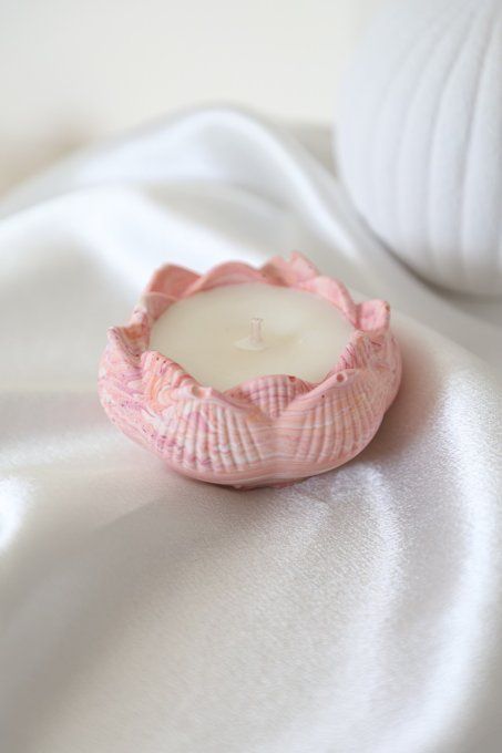 Fraise menthe